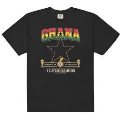 Ghana garment-dyed heavyweight t-shirt