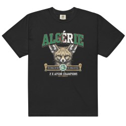 Algeria garment-dyed heavyweight t-shirt