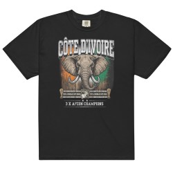 Ivory Coast garment-dyed heavyweight t-shirt