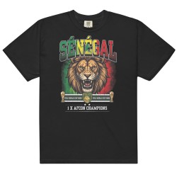 Senegal garment-dyed heavyweight t-shirt