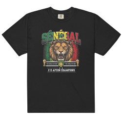 Senegal garment-dyed heavyweight t-shirt