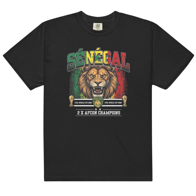 Senegal garment-dyed heavyweight t-shirt